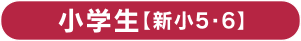 小学生【小5・6】